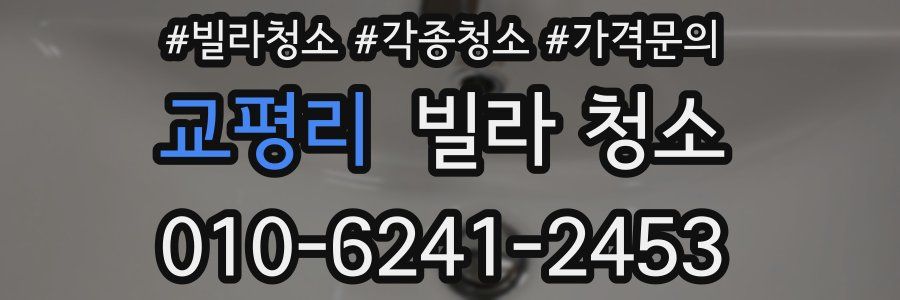 교평리 빌라 청소