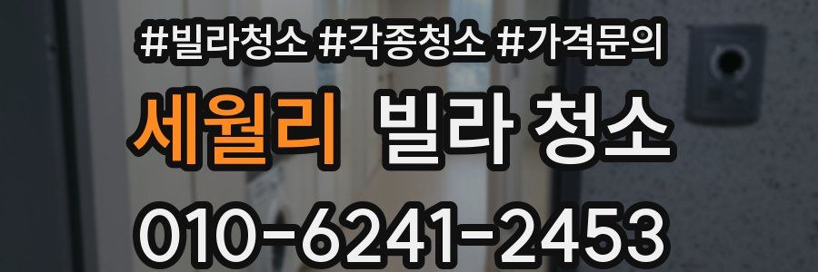 세월리 빌라 청소