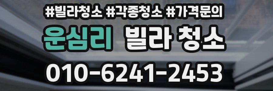 운심리 빌라 청소