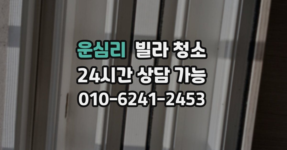 운심리 빌라 청소