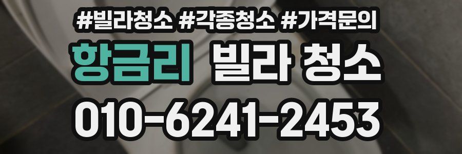 항금리 빌라 청소