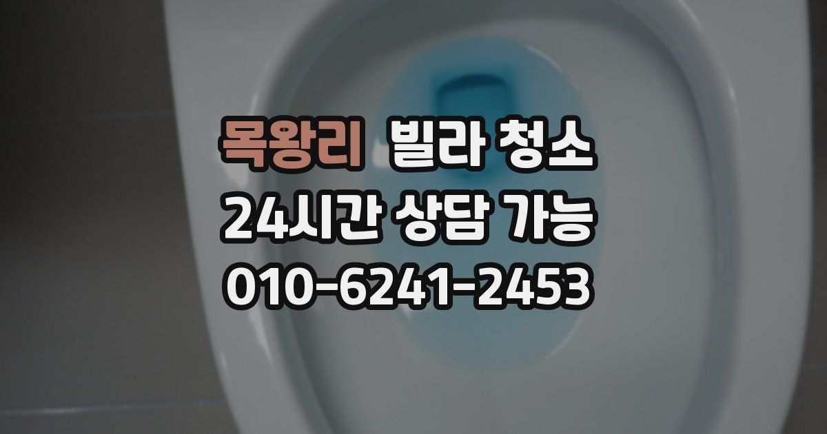 목왕리 빌라 청소