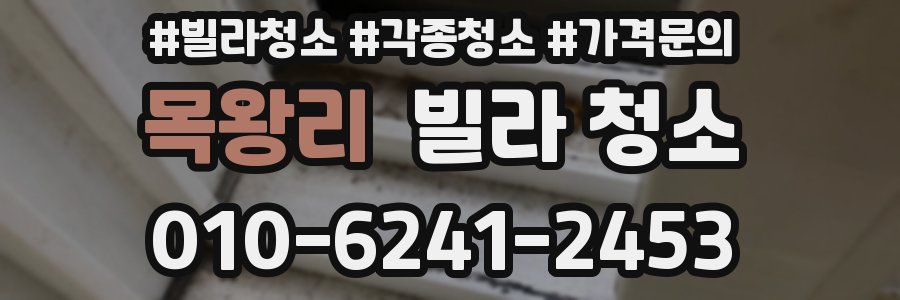 목왕리 빌라 청소