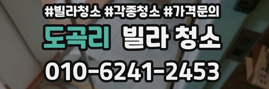 도곡리 빌라 청소