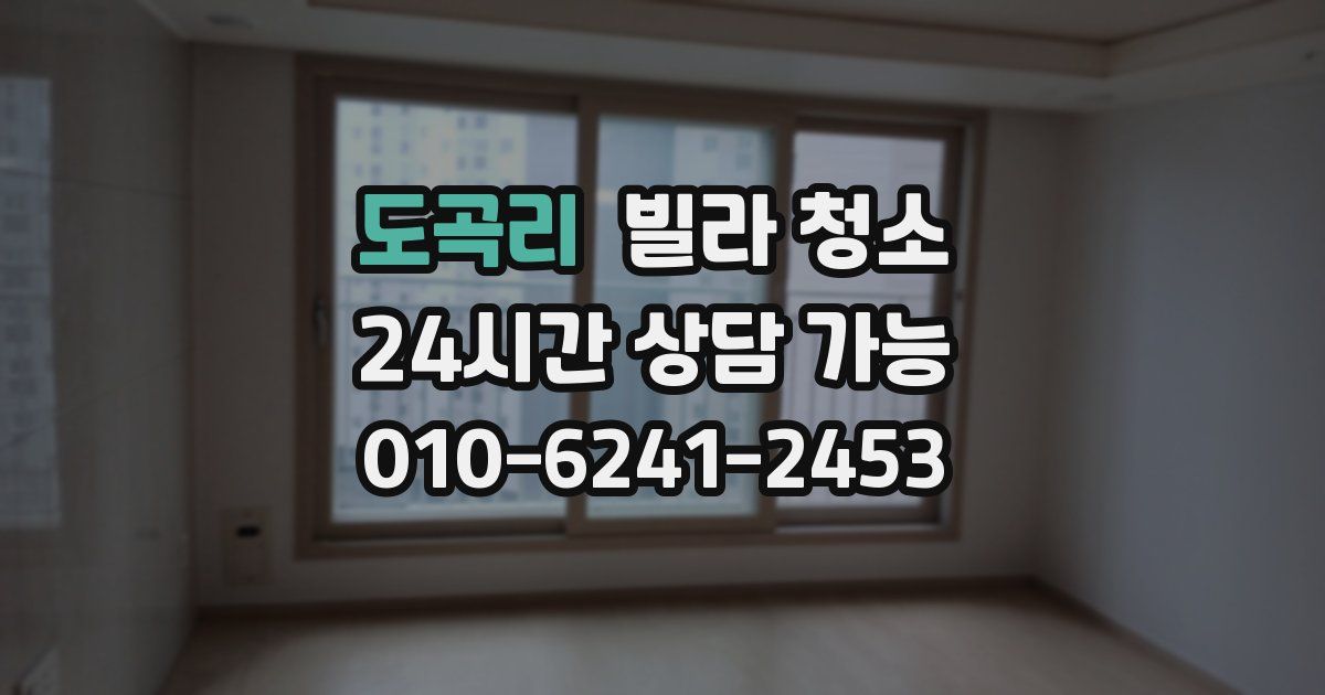 도곡리 빌라 청소