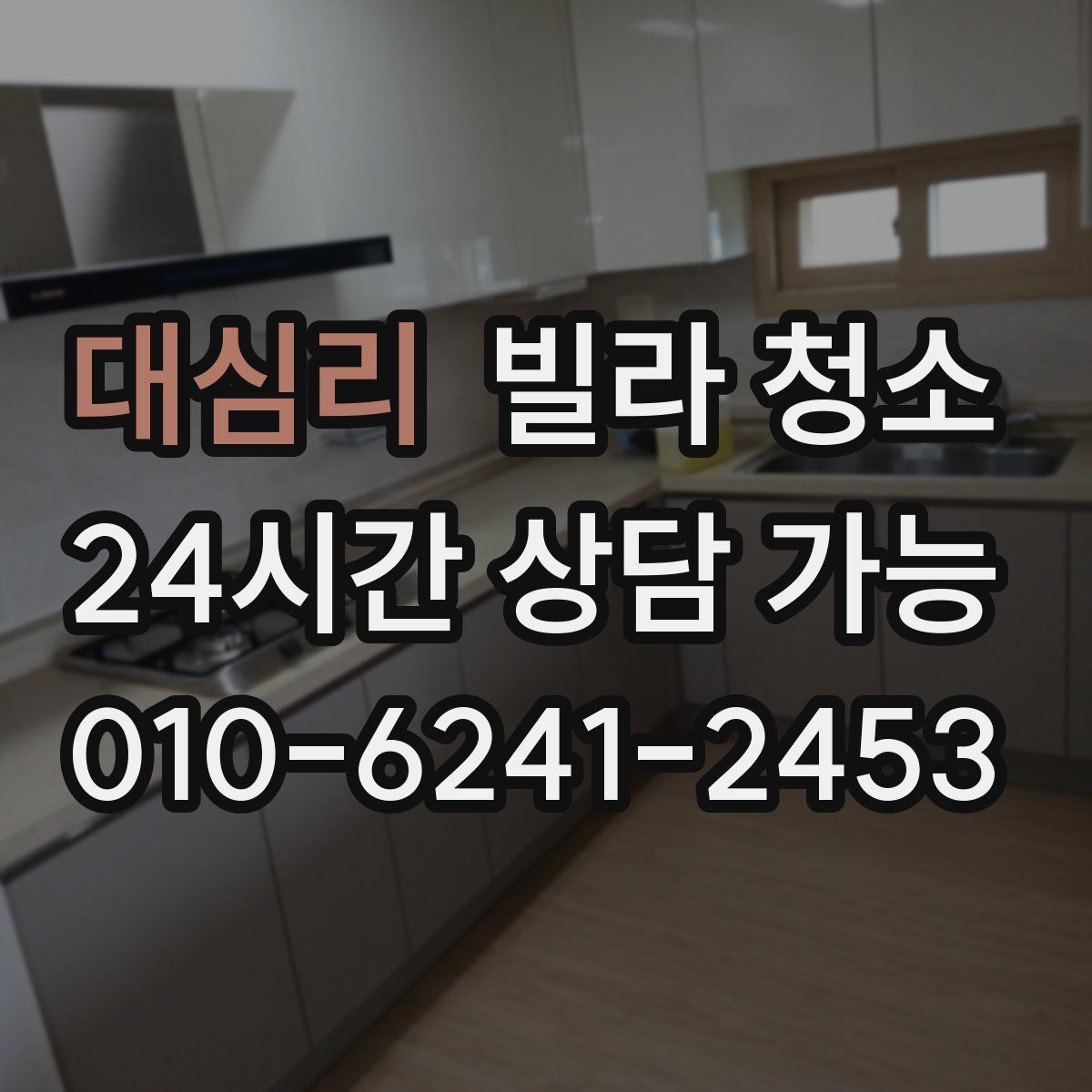 대심리 빌라 청소