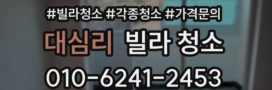 대심리 빌라 청소