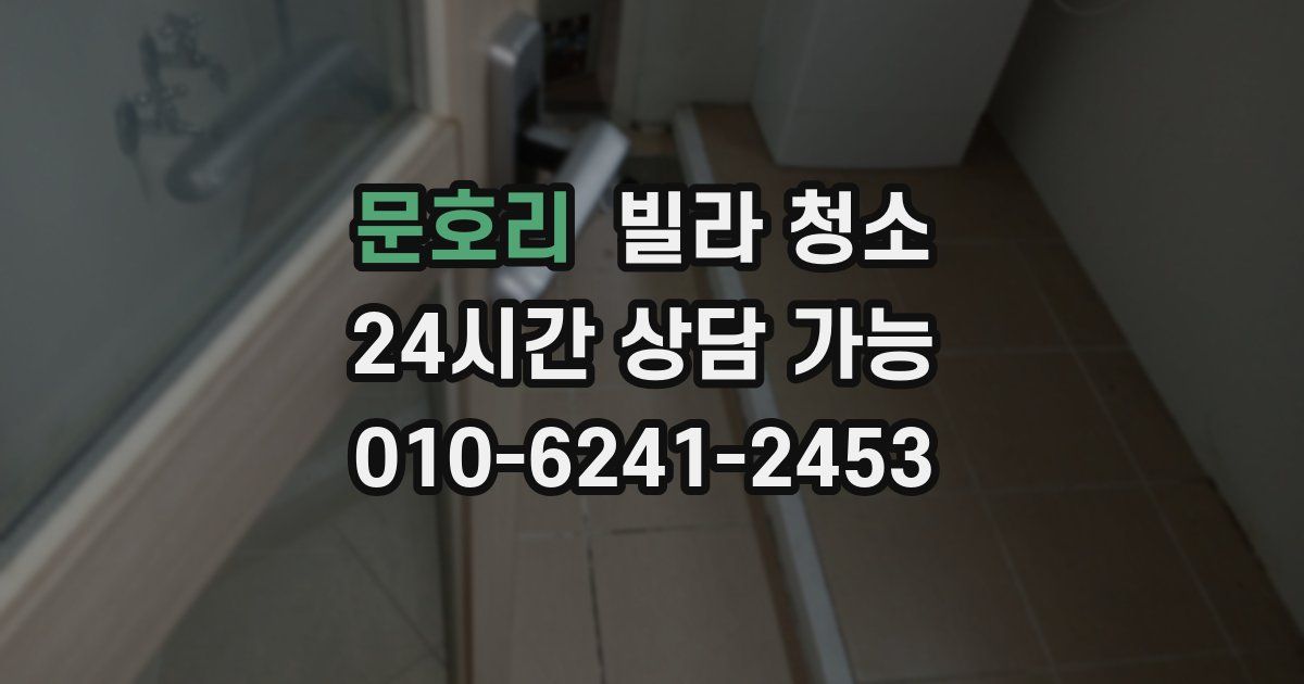 문호리 빌라 청소