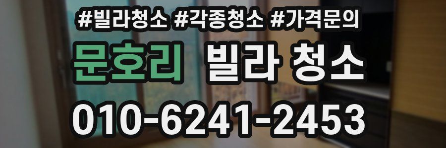 문호리 빌라 청소