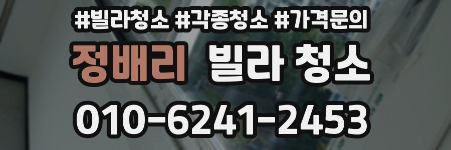 정배리 빌라 청소