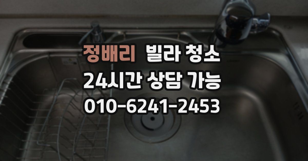 정배리 빌라 청소