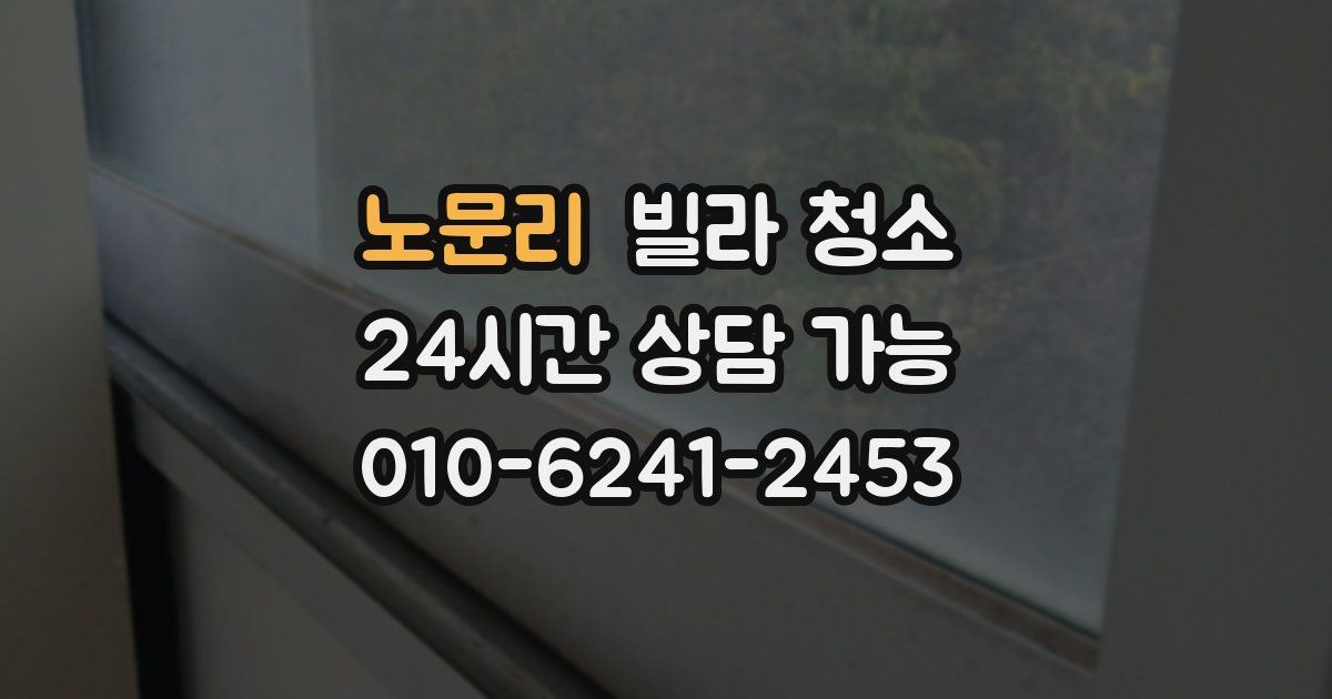 노문리 빌라 청소