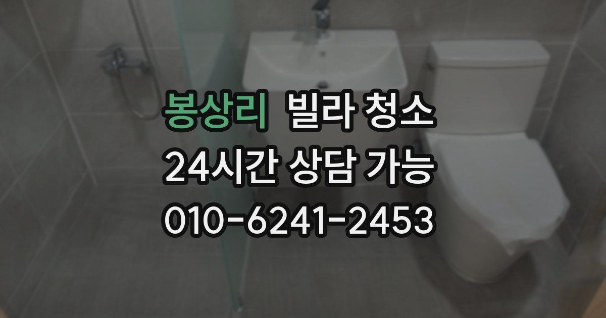 봉상리 빌라 청소