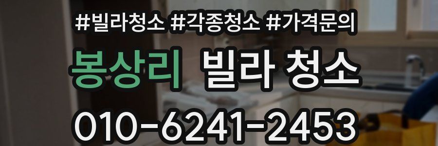 봉상리 빌라 청소