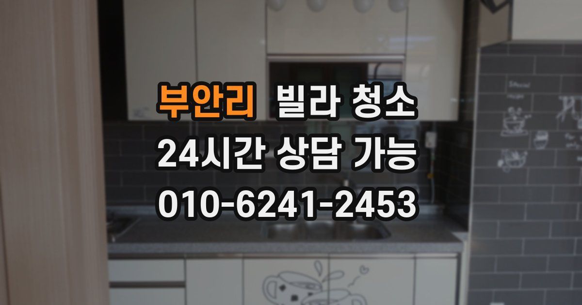 부안리 빌라 청소