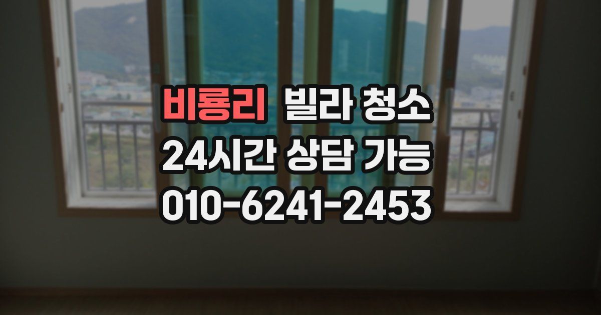 비룡리 빌라 청소