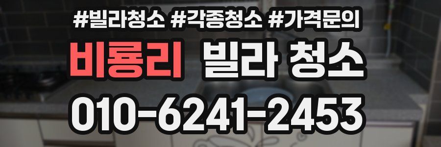 비룡리 빌라 청소