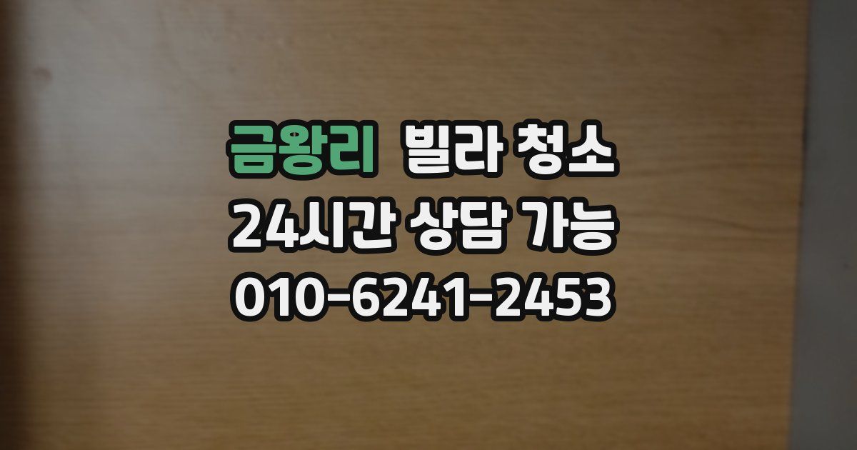 금왕리 빌라 청소