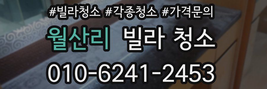 월산리 빌라 청소