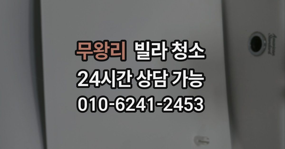 무왕리 빌라 청소