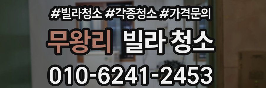 무왕리 빌라 청소