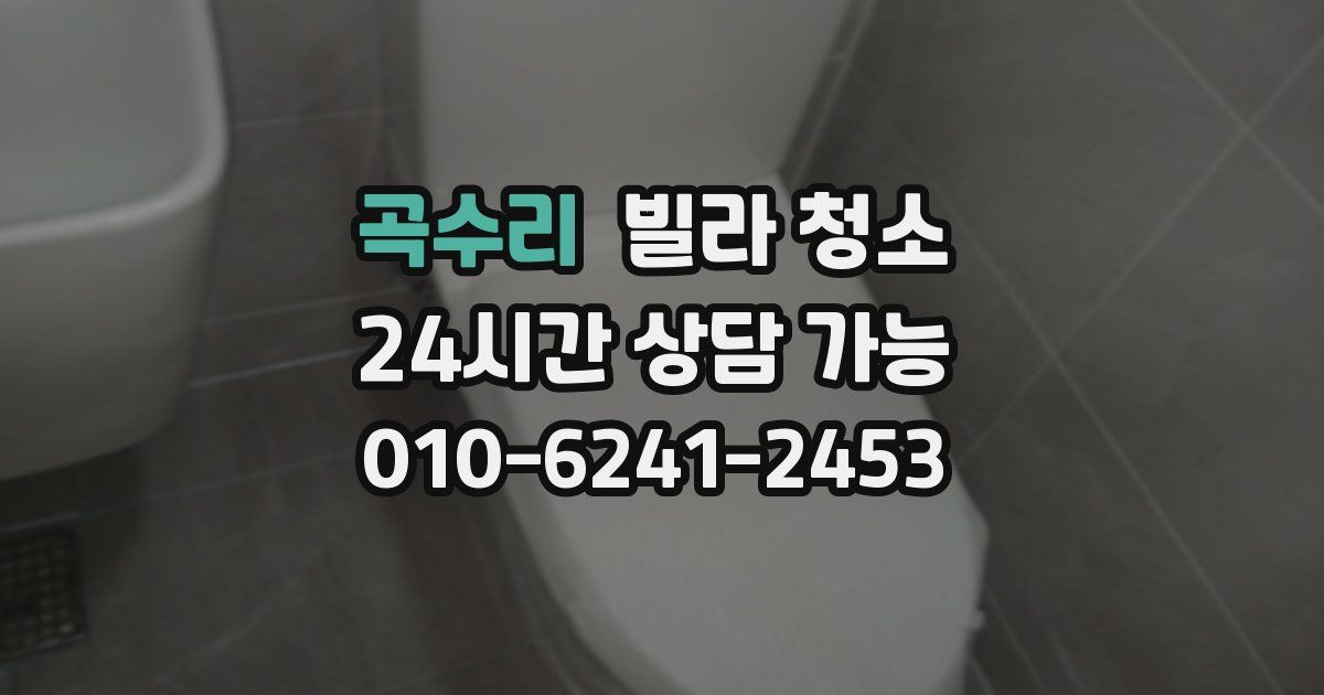 곡수리 빌라 청소