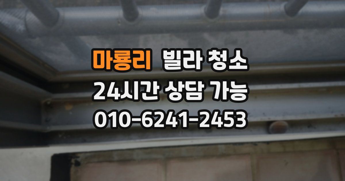 마룡리 빌라 청소