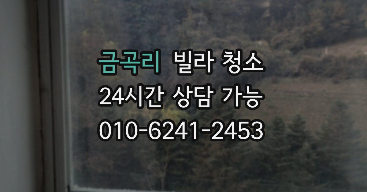 금곡리 빌라 청소