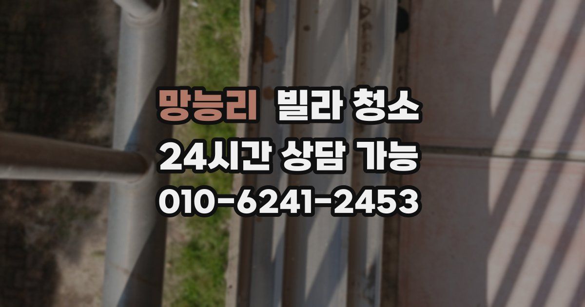 망능리 빌라 청소