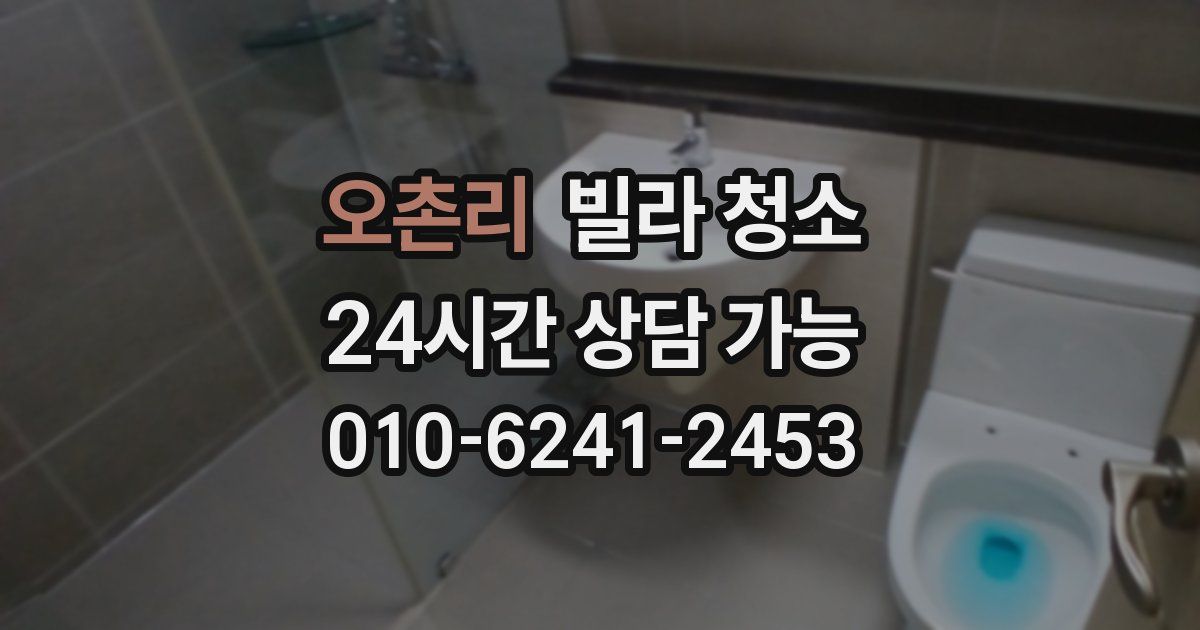 오촌리 빌라 청소