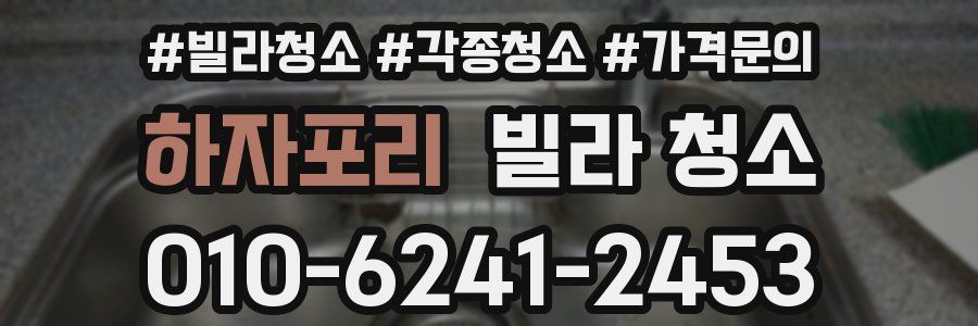 하자포리 빌라 청소