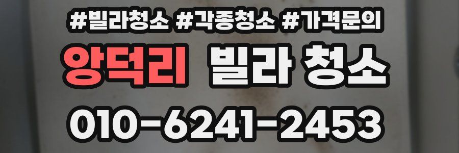 앙덕리 빌라 청소