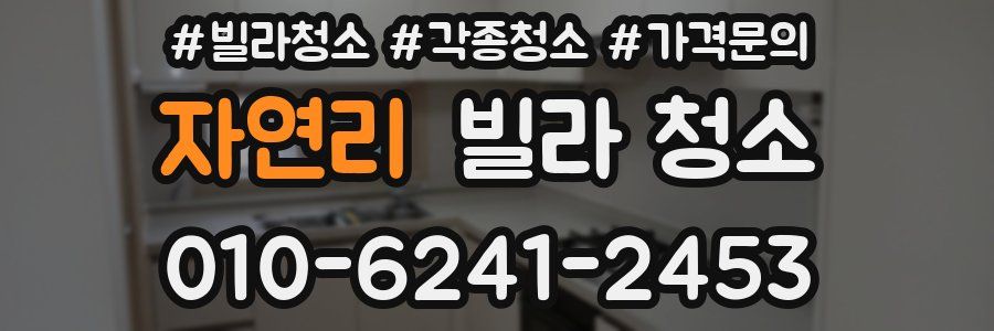 자연리 빌라 청소