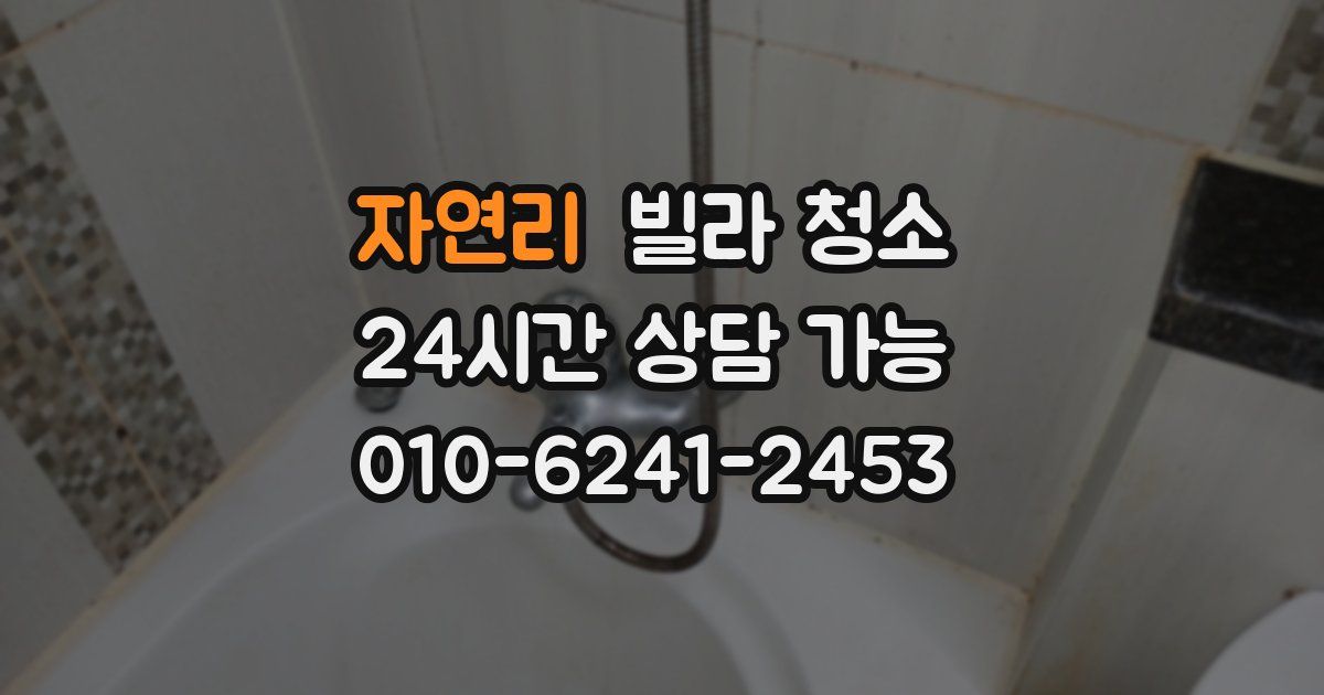 자연리 빌라 청소