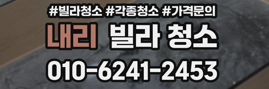 내리 빌라 청소