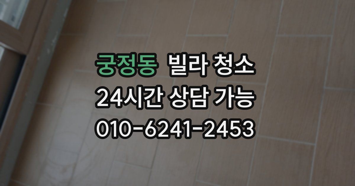 궁정동 빌라 청소