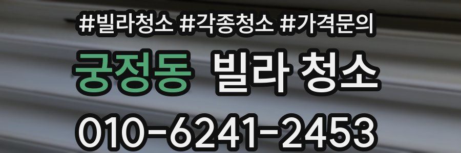 궁정동 빌라 청소