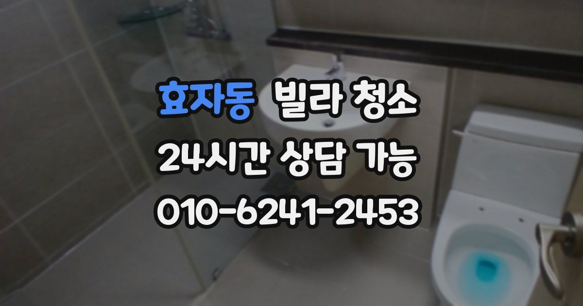 효자동 빌라 청소