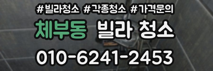 체부동 빌라 청소