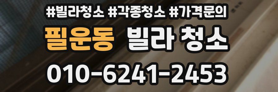 필운동 빌라 청소