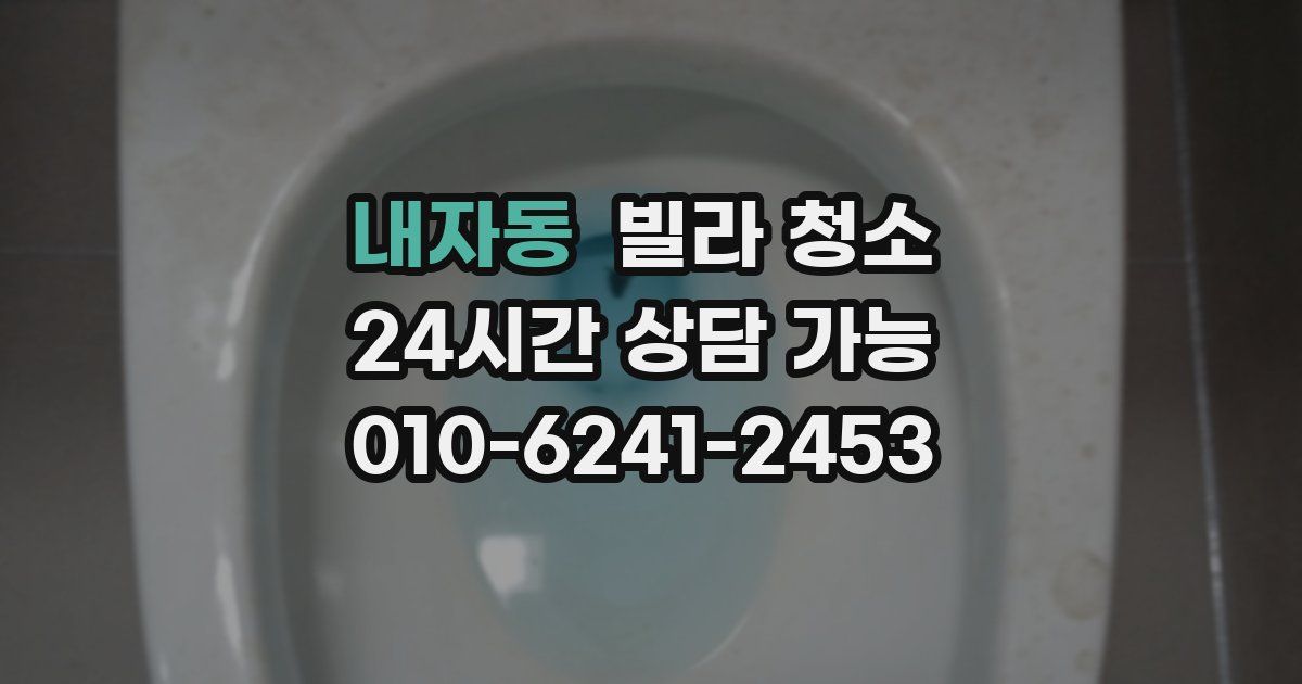 내자동 빌라 청소