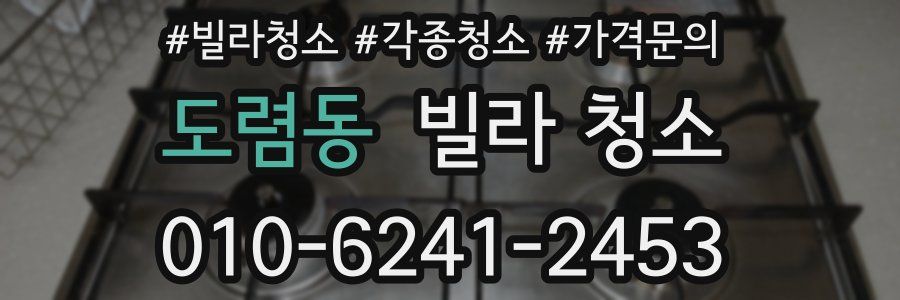 도렴동 빌라 청소