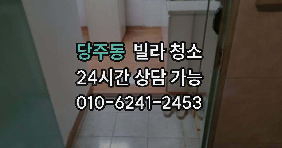 당주동 빌라 청소