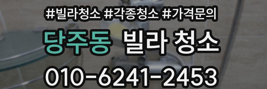 당주동 빌라 청소