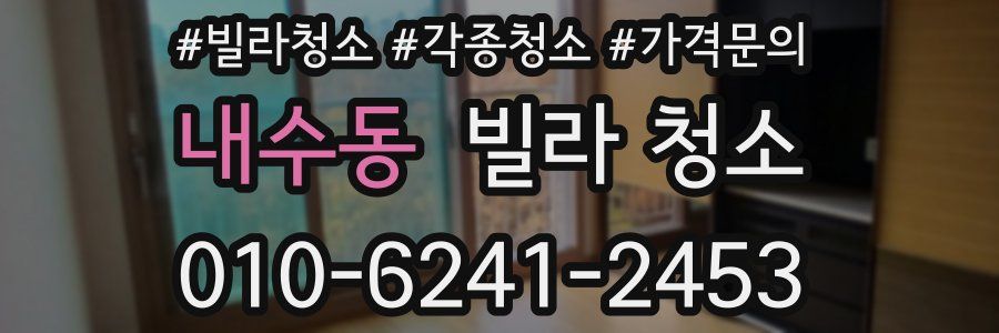 내수동 빌라 청소