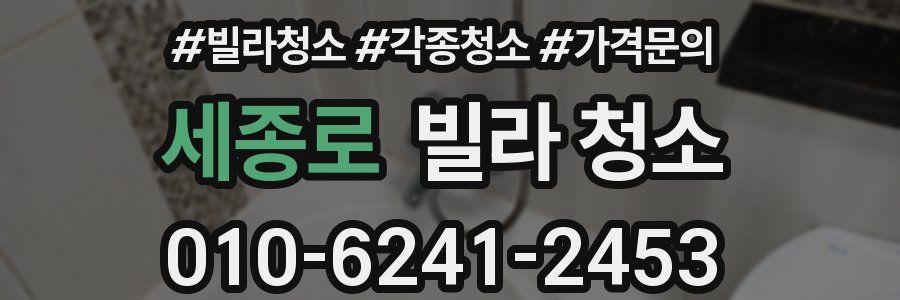 세종로 빌라 청소