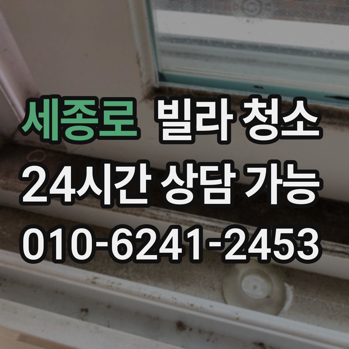 세종로 빌라 청소