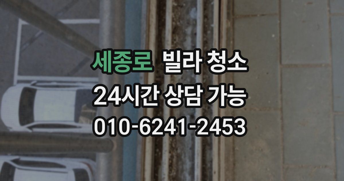 세종로 빌라 청소