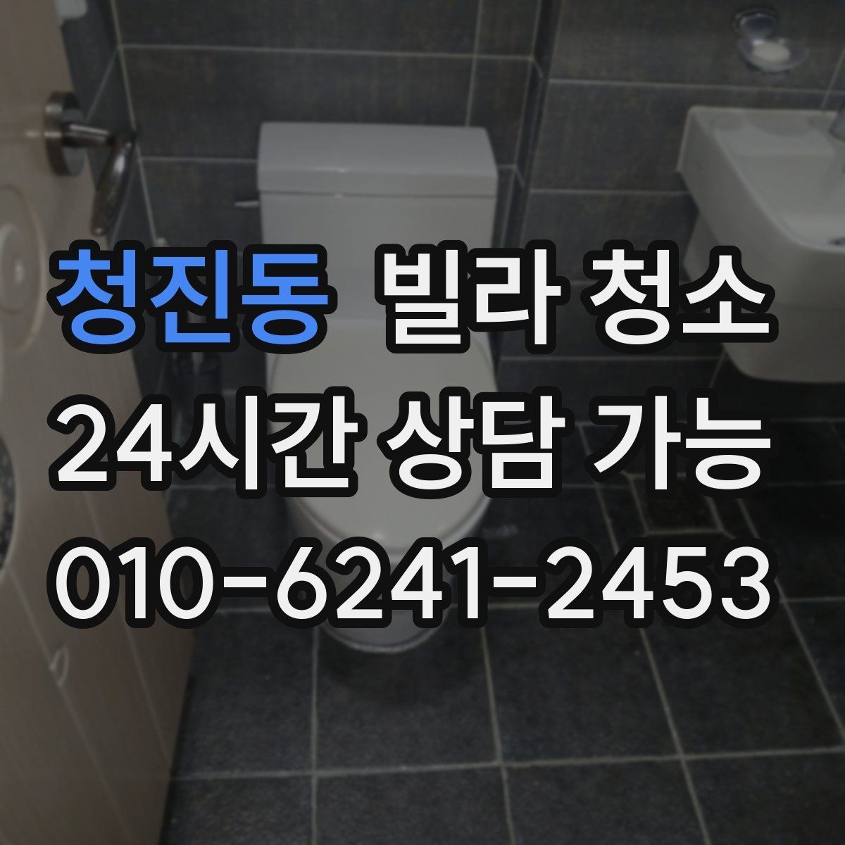청진동 빌라 청소 반려동물 털이 많을 때 필수 청소 포인트