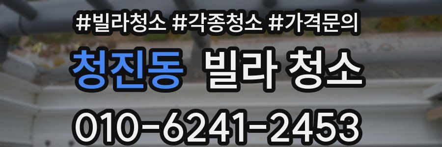 청진동 빌라 청소